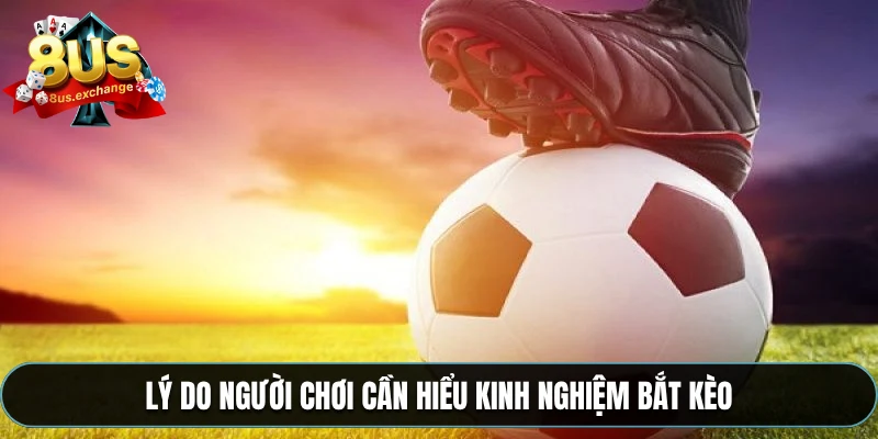 Lý do người chơi cần hiểu kinh nghiệm bắt kèo