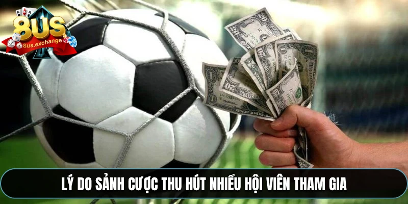 Lý do sảnh cược thu hút nhiều hội viên tham gia
