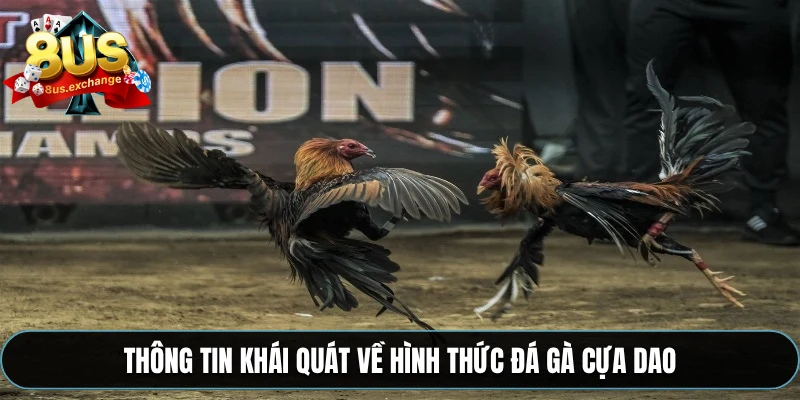 Thông tin khái quát về hình thức đá gà cựa dao