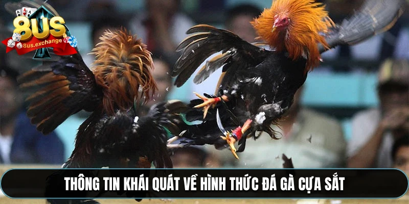 Thông tin khái quát về hình thức đá gà cựa sắt