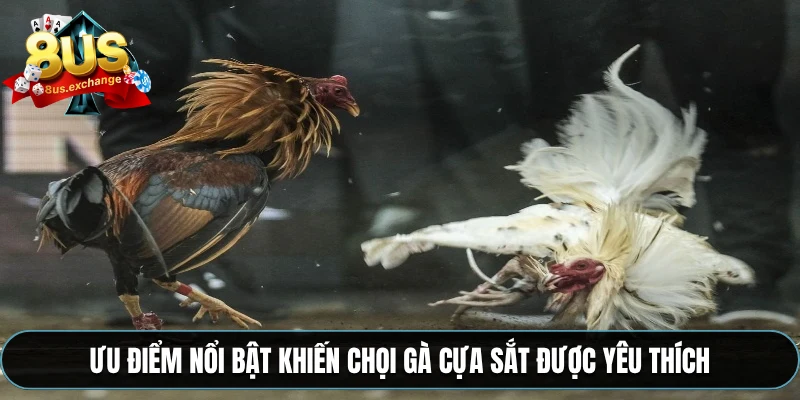Ưu điểm nổi bật khiến chọi gà cựa sắt được yêu thích